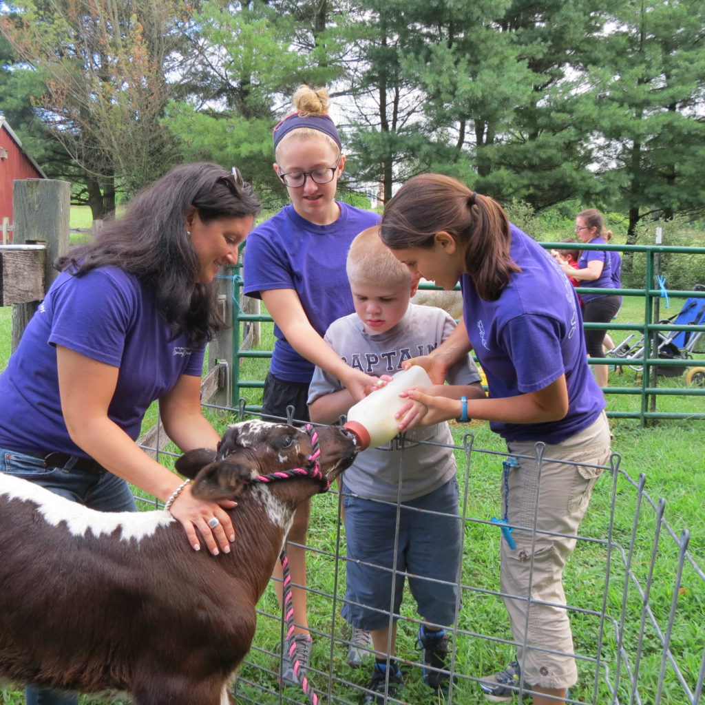 Camp Geronimo The Barn at Spring Brook Farm AnimalAssisted Activities