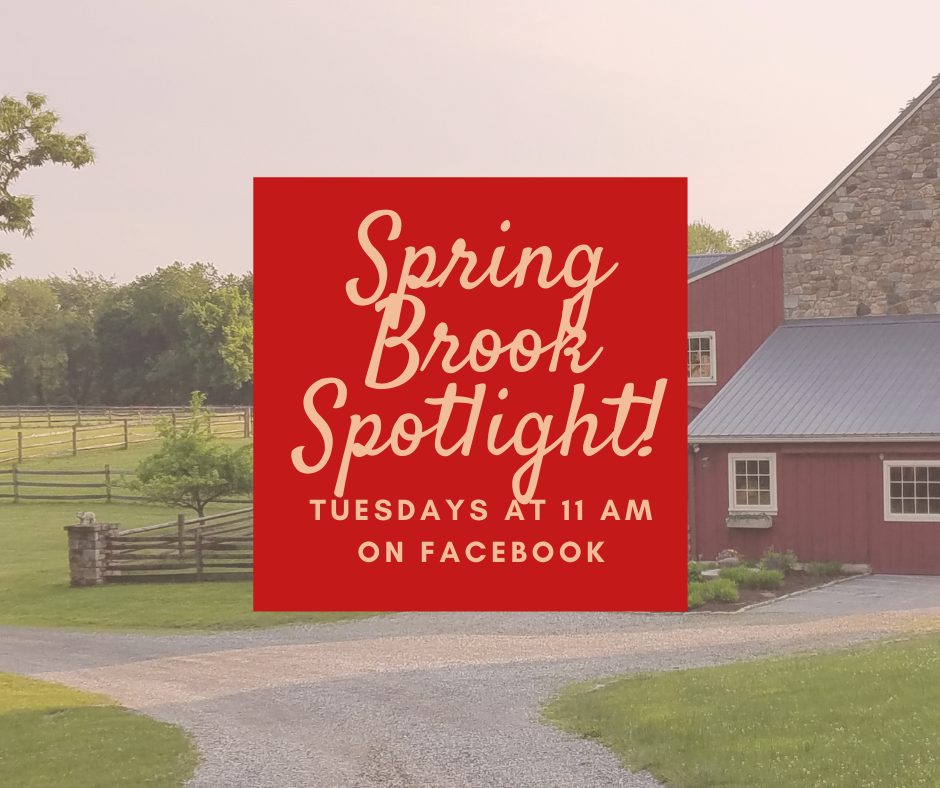 Spring Brook Spotlight The Barn at Spring Brook